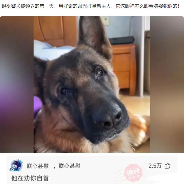 轻松一刻:必须要风风光光的办,不差钱!