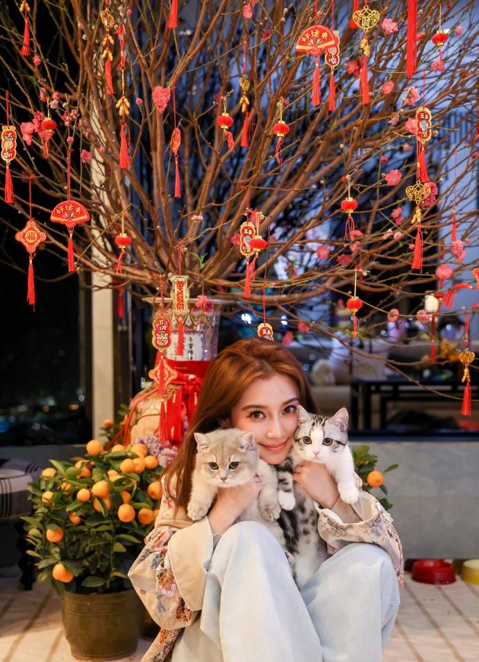 Baby香港吃鸡煲被偶遇，全程光顾聊天了？