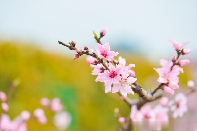 常年宗筋太弱？无法正常生活是什么原因导致的？