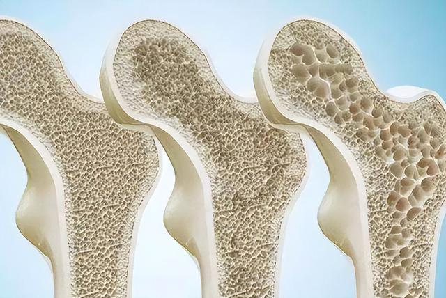 茄子的“天生公敌”，不可一起同食，越吃病越多，爱吃茄子要注意