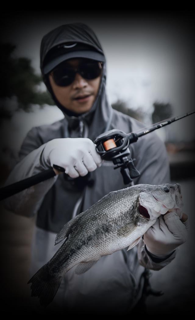 NS|随心而动 鲈此可爱 ? 米兰达鳜鱼II