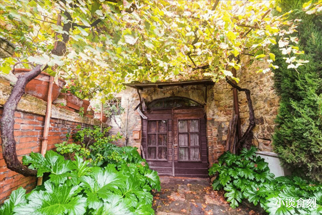 “阴树进宅门,人穷家不兴”,啥是阴树?你家有吗?为啥不能种?