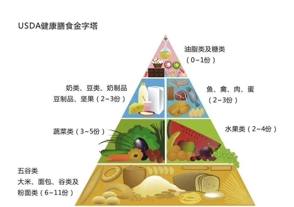 摆脱了肥胖，也摆脱不了脂肪，只有“骗”过脂肪，才能真正变瘦！