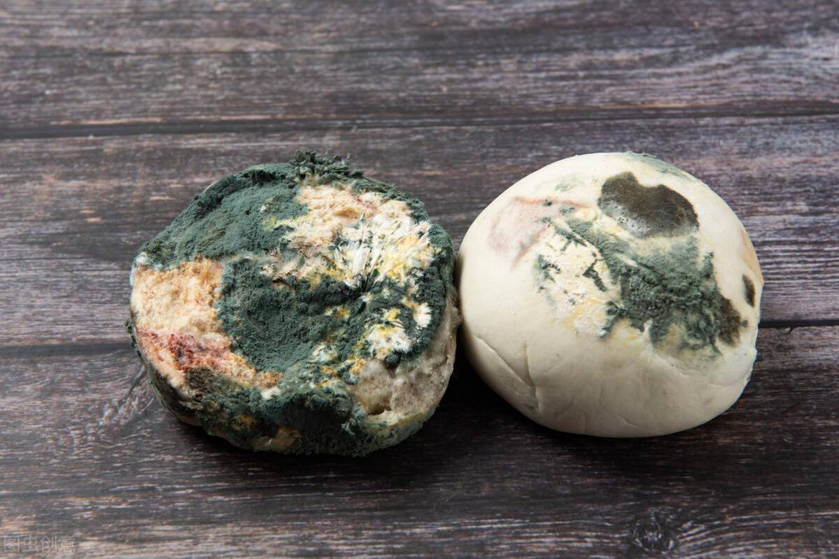 别再吃了!央视曝光真相!冷冻的馒头会“致癌”?实验告诉你答案