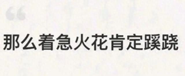 张兰飞日本接触大S日籍看护，4句话替汪小菲反击S妈宣战