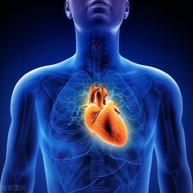 爱美的男女要注意，常吃这4类食物的人，肚子最容易长肉