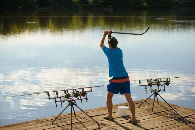 春季钓鱼保你钓到爽的饵料！任何饵料都可以！饵料的精髓不是用！