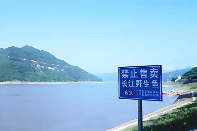 持证钓鱼,无须大惊小怪,这些国家早已实施