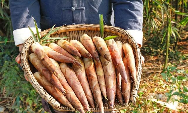 3月最该吃的是“它”,比韭菜鲜比荠菜嫩,刮油去脂,减肥别错过