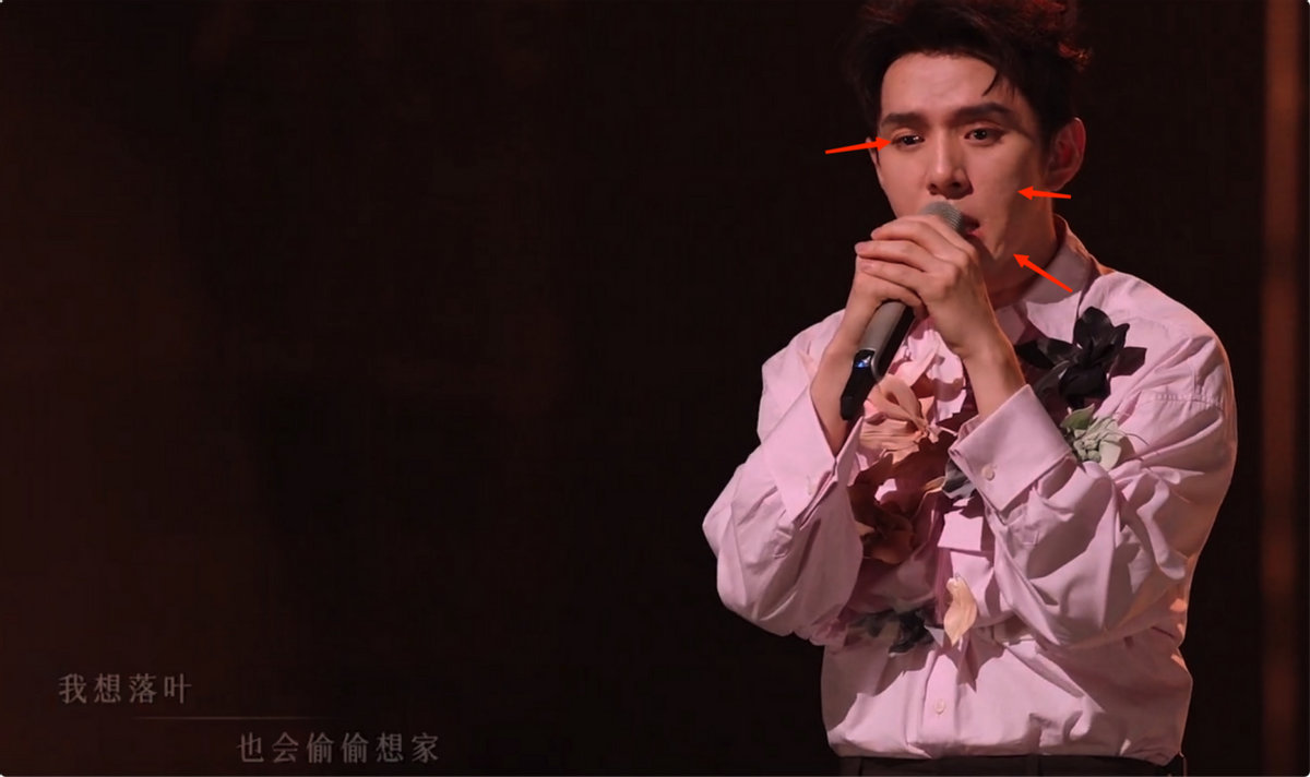 皮肤粗糙、脸上坑坑洼洼,《披哥4》李佳琦的生图暴露人间真实