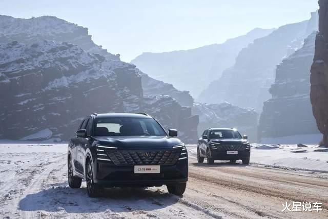 2024年“最好卖”的十大油车：轩逸排第一，瑞虎8挤进前十