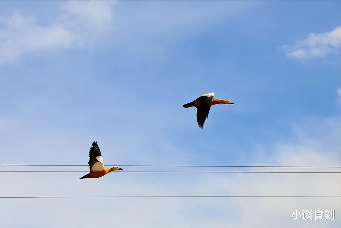 “七夕四不吃,吃了秋不安”,本周六七夕节,有哪4不吃?早知道