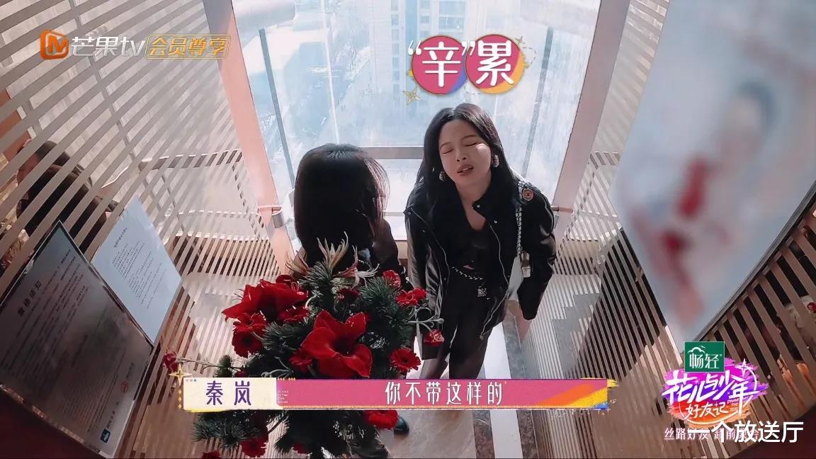 下饭综艺又回来了!