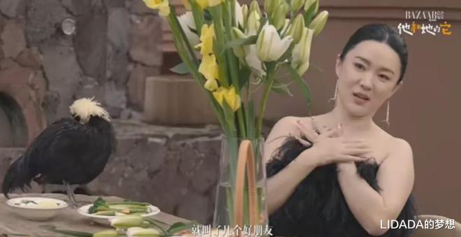 看了43岁霍思燕携10只狗8只鸡拍封面的照片，我才明白“女人微胖”才是极品