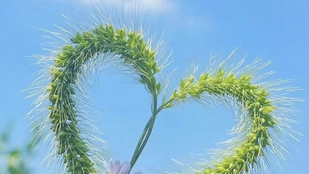 办公室的新风景线