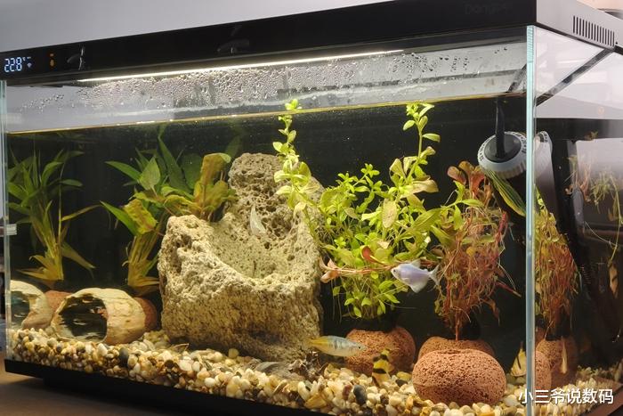 當(dāng)貝智能魚缸1 Ultra：懶人養(yǎng)魚新選擇！