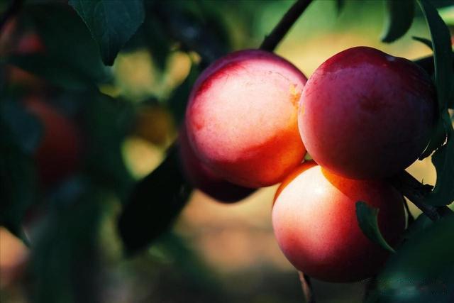 我，山东人，对大北京有9大疑问，想了5天没明白，在北京的看一眼