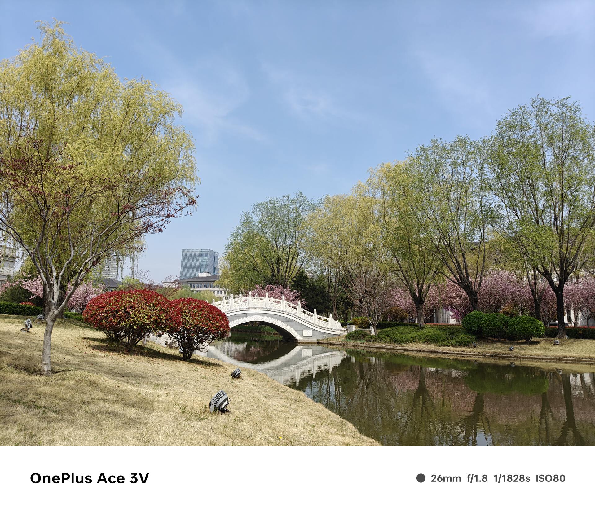 重新定义“青春版”,一加Ace 3V综合体验