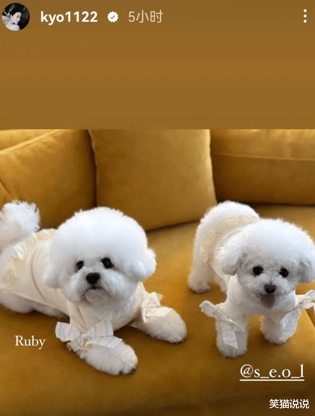 宋慧乔晒照为好友庆生:吻闺蜜头发很有爱,与友人紧靠合照好亲密