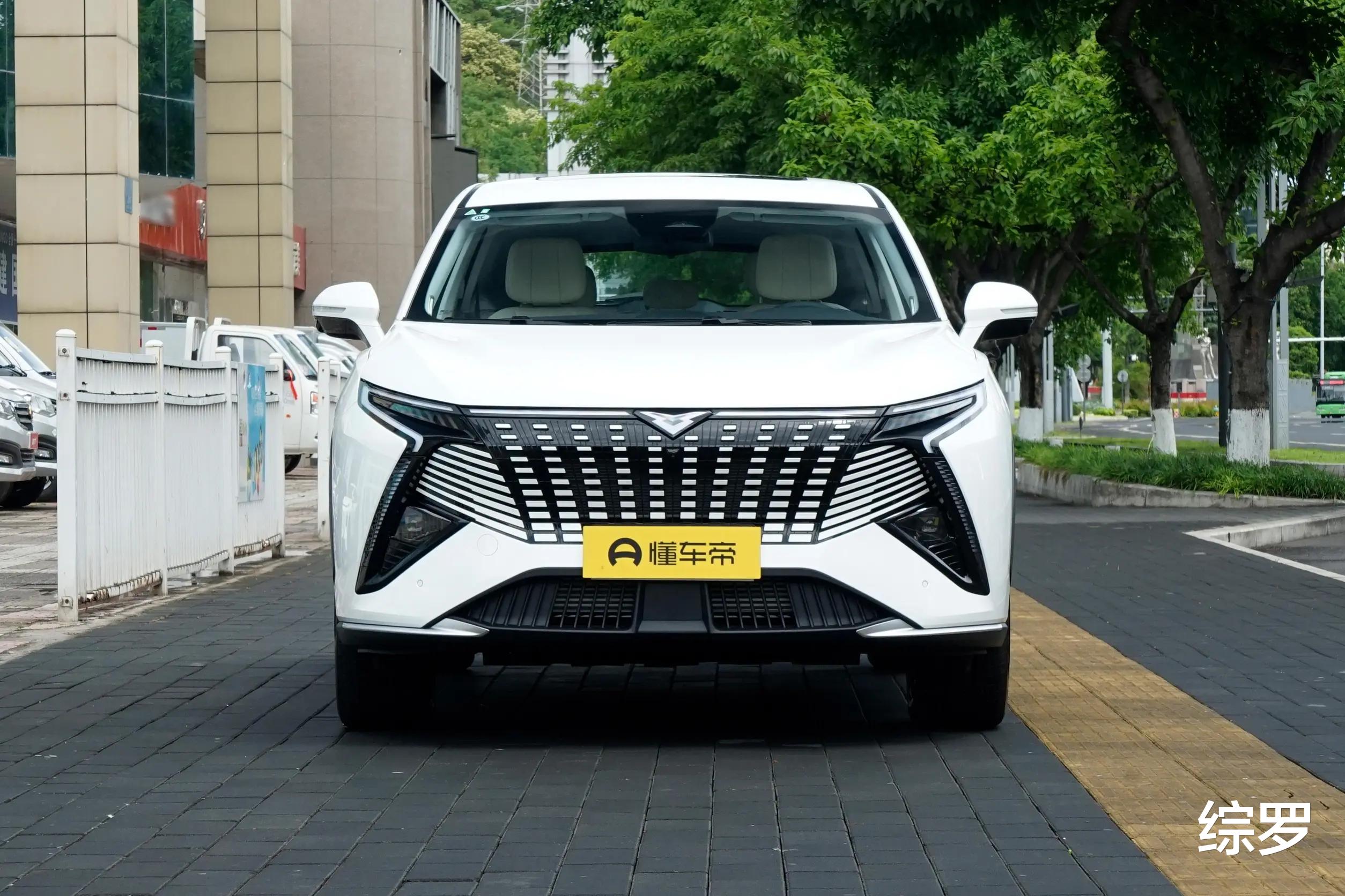 最值得推荐的10款十万元级混动SUV
