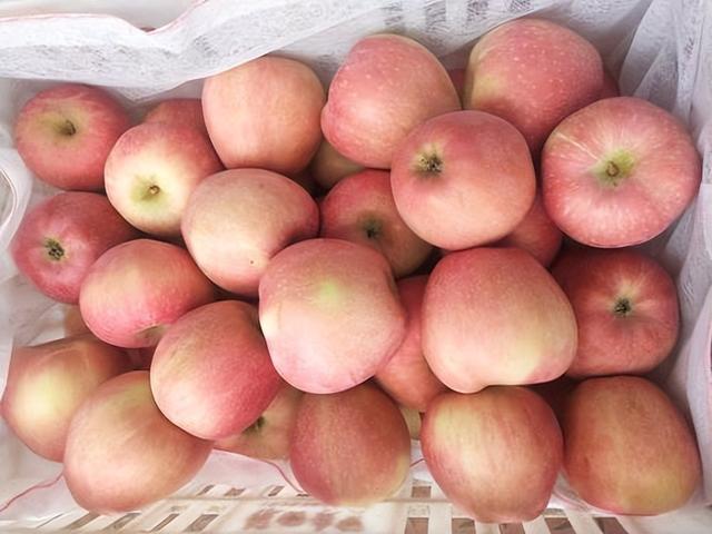 医生发现：高血压人常吃这2食物，比吃降压药管用！或能断药！