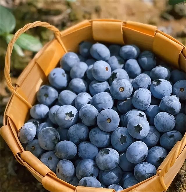 回顾:研究癌症70年,中工院院士发现最好的抗癌食物,不妨尝试下