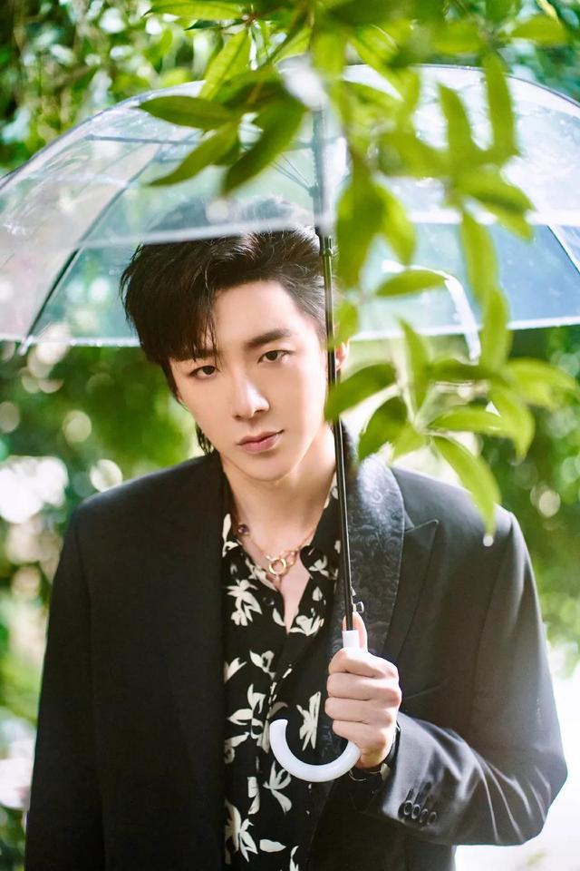 娱乐圈英年早婚离异的六位男明星,玫瑰虽二手,香气仍四溢!