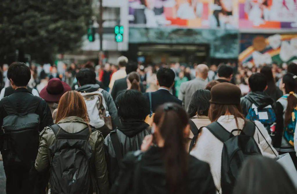 招聘209人收3.16万份简历，这个社会怎么了？