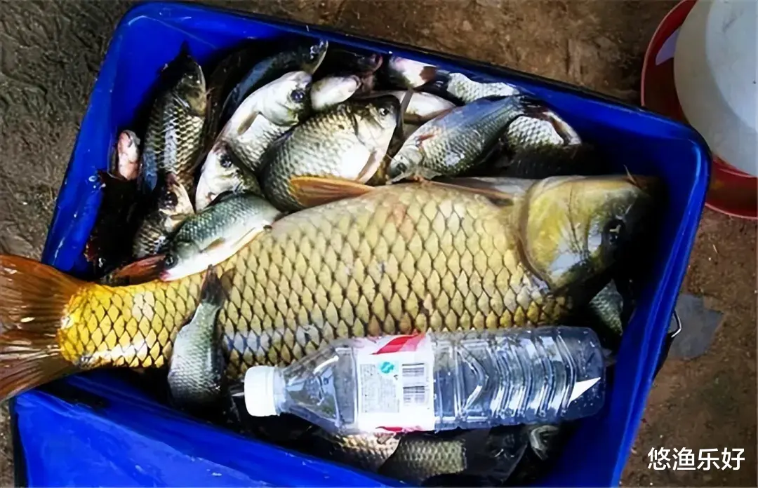 你以为晒渔获能赢取钦佩吗?不不不,很有可能招来一身“腥”