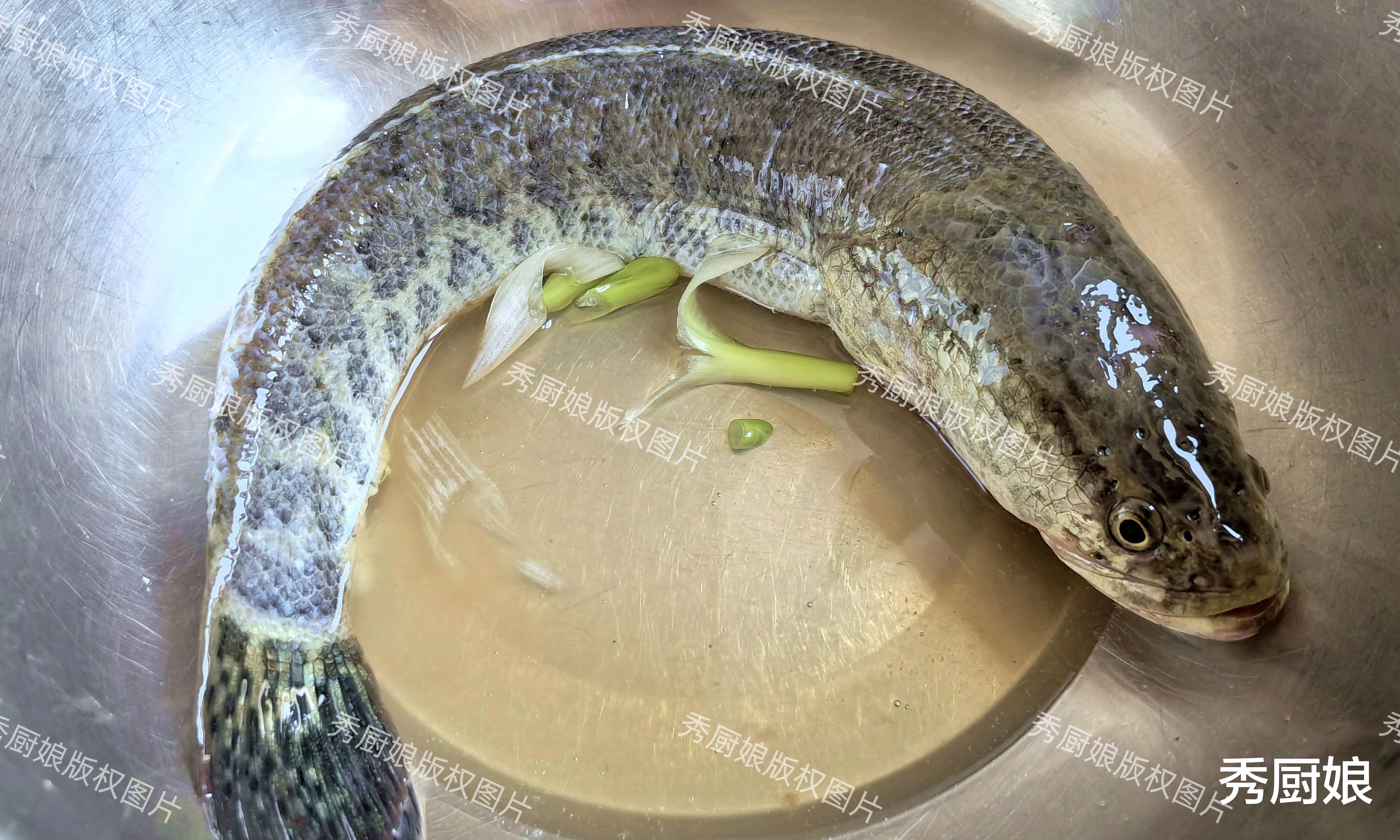 暖4月，少吃鸡肉和牛肉，多吃这种肉，腿脚有劲，精神头足身体棒