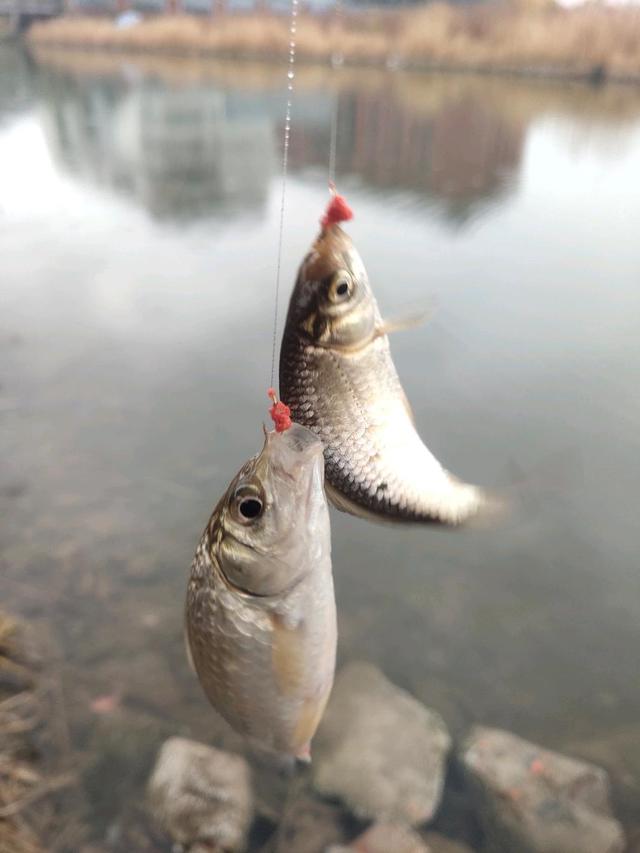 三月惊蛰，钓鱼的天气完全变了。钓鱼要看天气才能安排钓鱼的计划