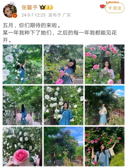 以李晨的视角看张馨予：我那美如天仙的前女友，竟有如此漂亮的花园