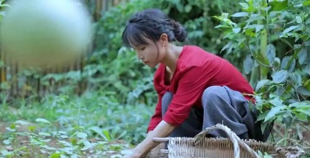 时隔一年李子柒再度营业,近照堪比毁容,她经历了什么?