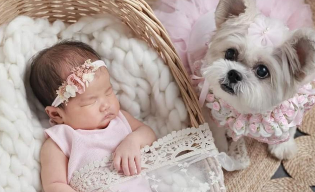 陈彦行女儿生父身份被扒 是黄子华司机！母亲反对无效心软送豪宅