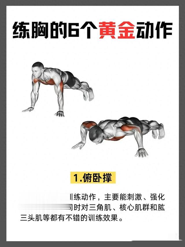 健身房男生练胸的6个黄金动作