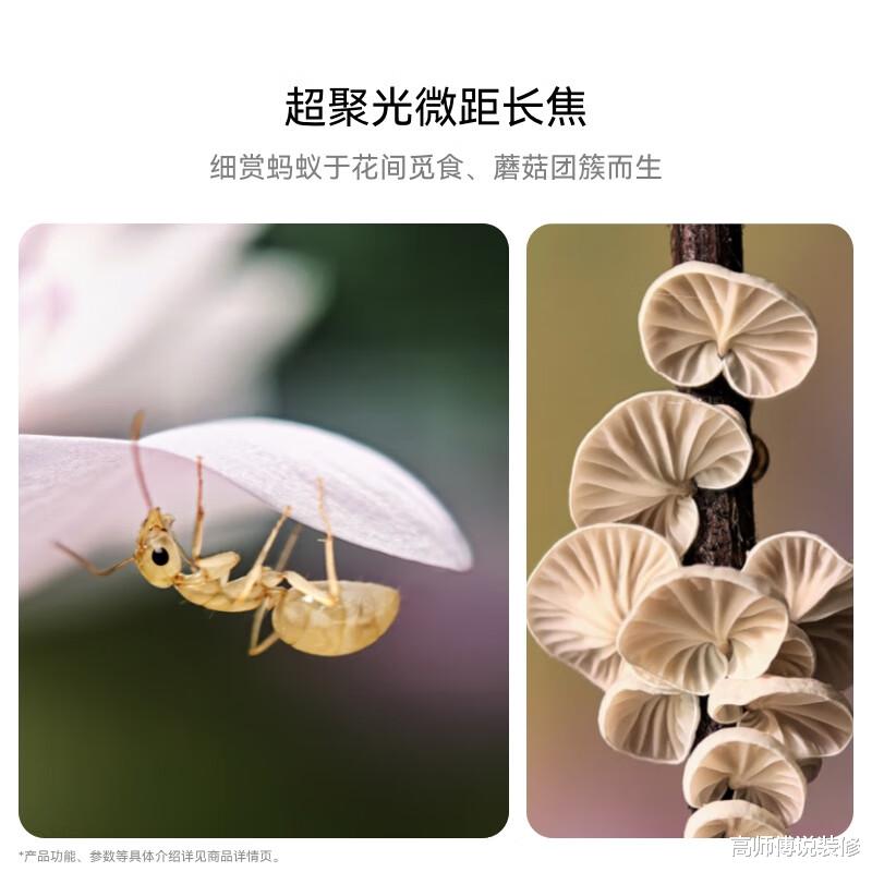 2024最建議買的華為手機，這三款閉眼入也不虧！