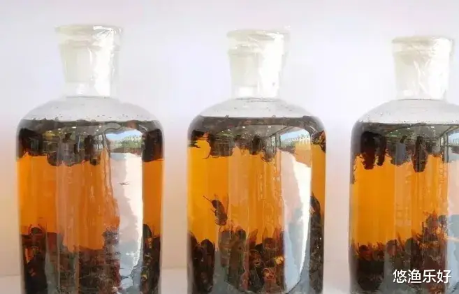 作为钓鱼人，能让鱼快速开口的3种药材，你都知道是什么吗？