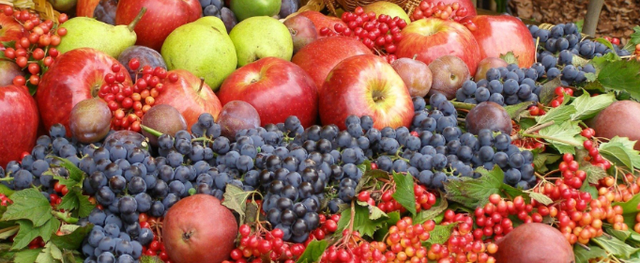 寿命达300年，曾是我国的“铁杆庄稼”，如今掉一地却无人捡