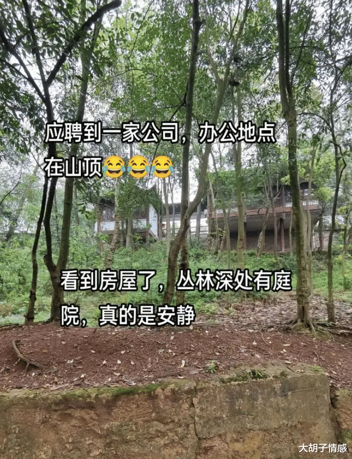 贵州：女子求职找到梦中情班！工位在山顶无人管，可追剧玩游戏！