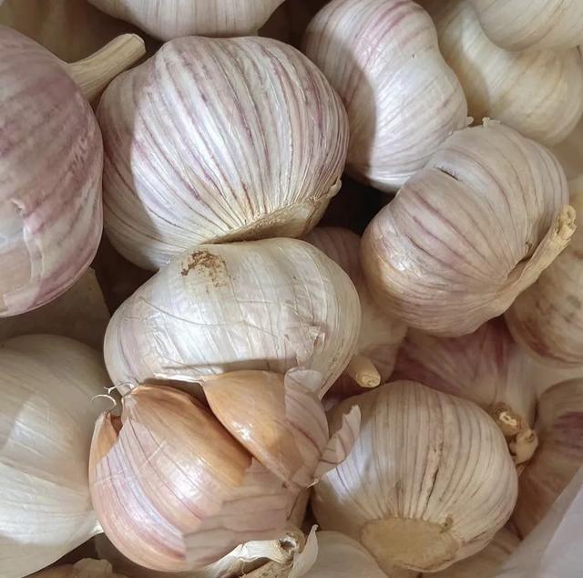 遇到这4种大蒜，最好不要买！现在才知道，看完告诉家里人！