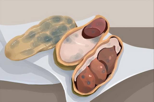 2种\豆\类要少吃!医生劝告:容易伤害肝脏,老人要谨慎食用