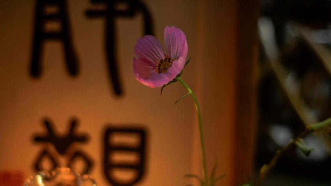 老话说“三事反常，人恐不祥”，3事指的是什么？老话有道理吗？