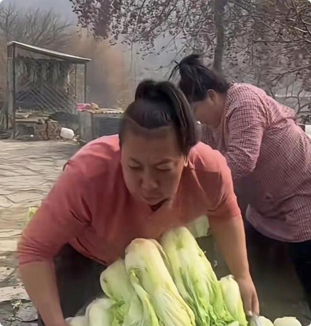 唉，看到东北雨姐的处理，辛巴全说对了