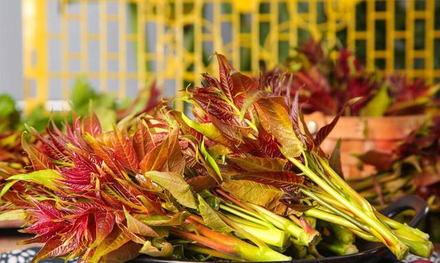 这5种野菜自带“毒素”，不能随便吃，大厨：焯水后再吃，别不懂