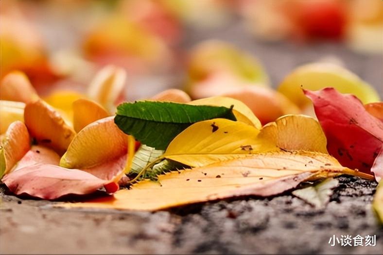 “六月立秋起坟头,七月立秋起谷堆”啥意思?今年啥时候立秋?