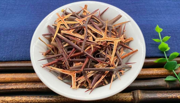 抗癌良药——皂角刺,托毒排脓,活血消痈,直击癌肿的草药