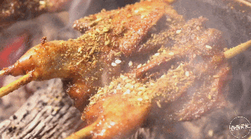 一路从路边摊追着吃到店里，老板说，啥稀奇就烤啥