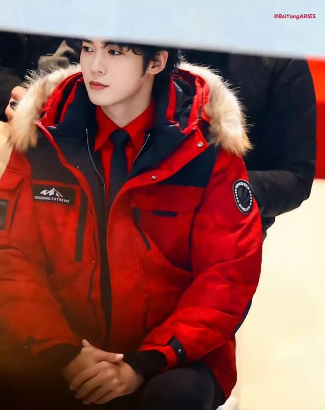 平心而论,内娱真正的绝色美男只有12位,他们酷帅雅痞,清新性感