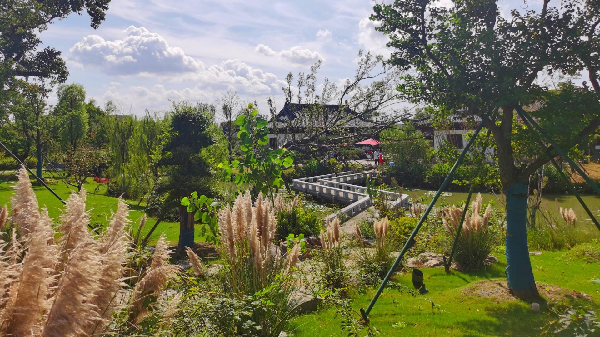 命理看你适合什么职业