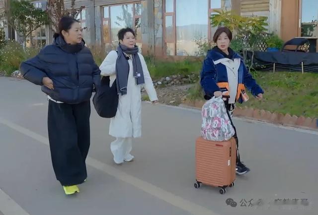 等了三天向太帮李小冉说话了,这是回过味来了?